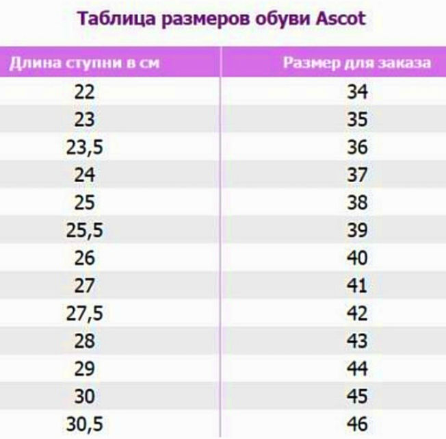 39 размер. Кроссовки Ascot Размерная сетка. Ботинки мужские зимние Ascot Размерная сетка. Кроссовки Ascot женские Размерная сетка. Ascot Размерная сетка обувь.