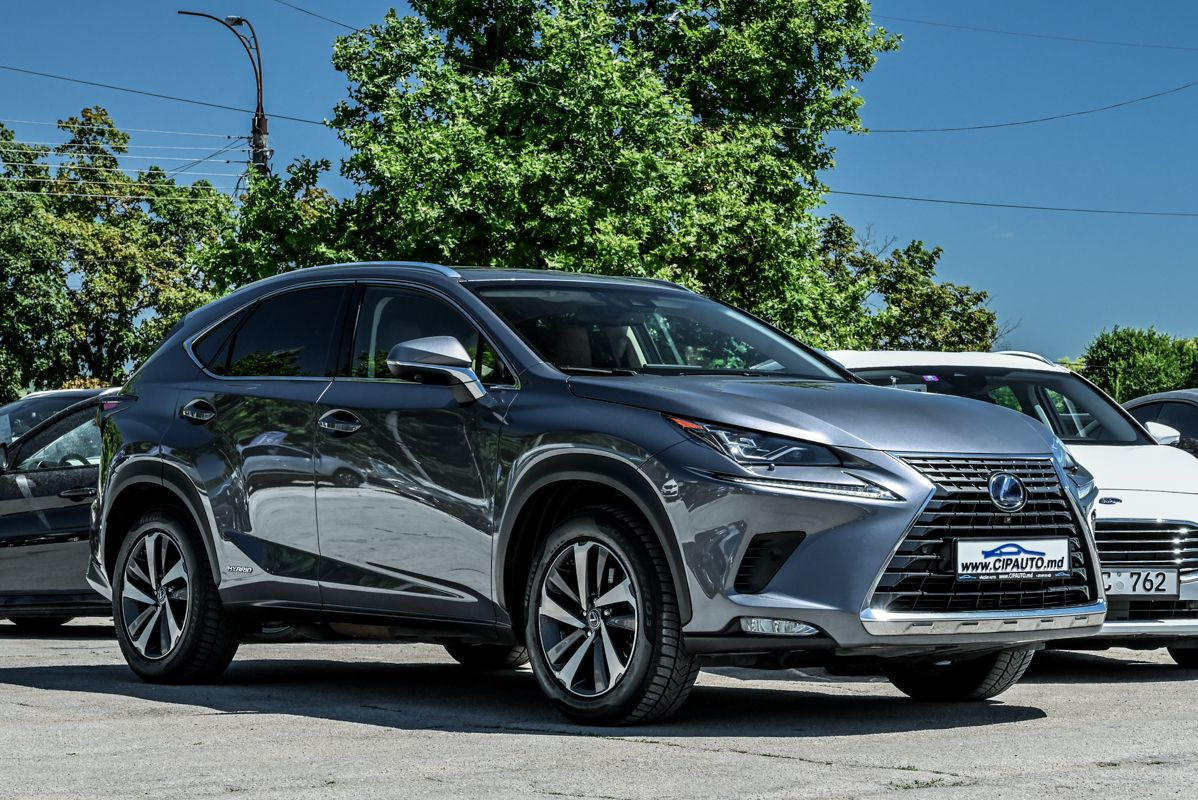 Lexus NX Series