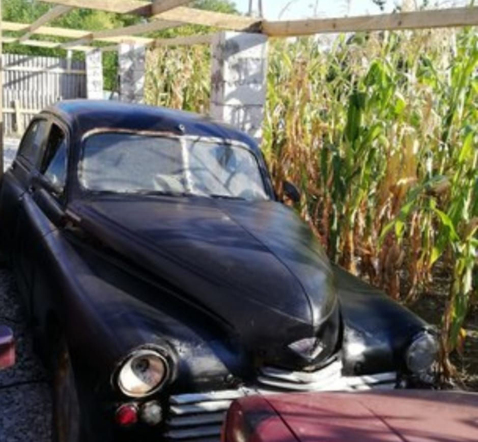 ZIM  GAZ 12 foto 1