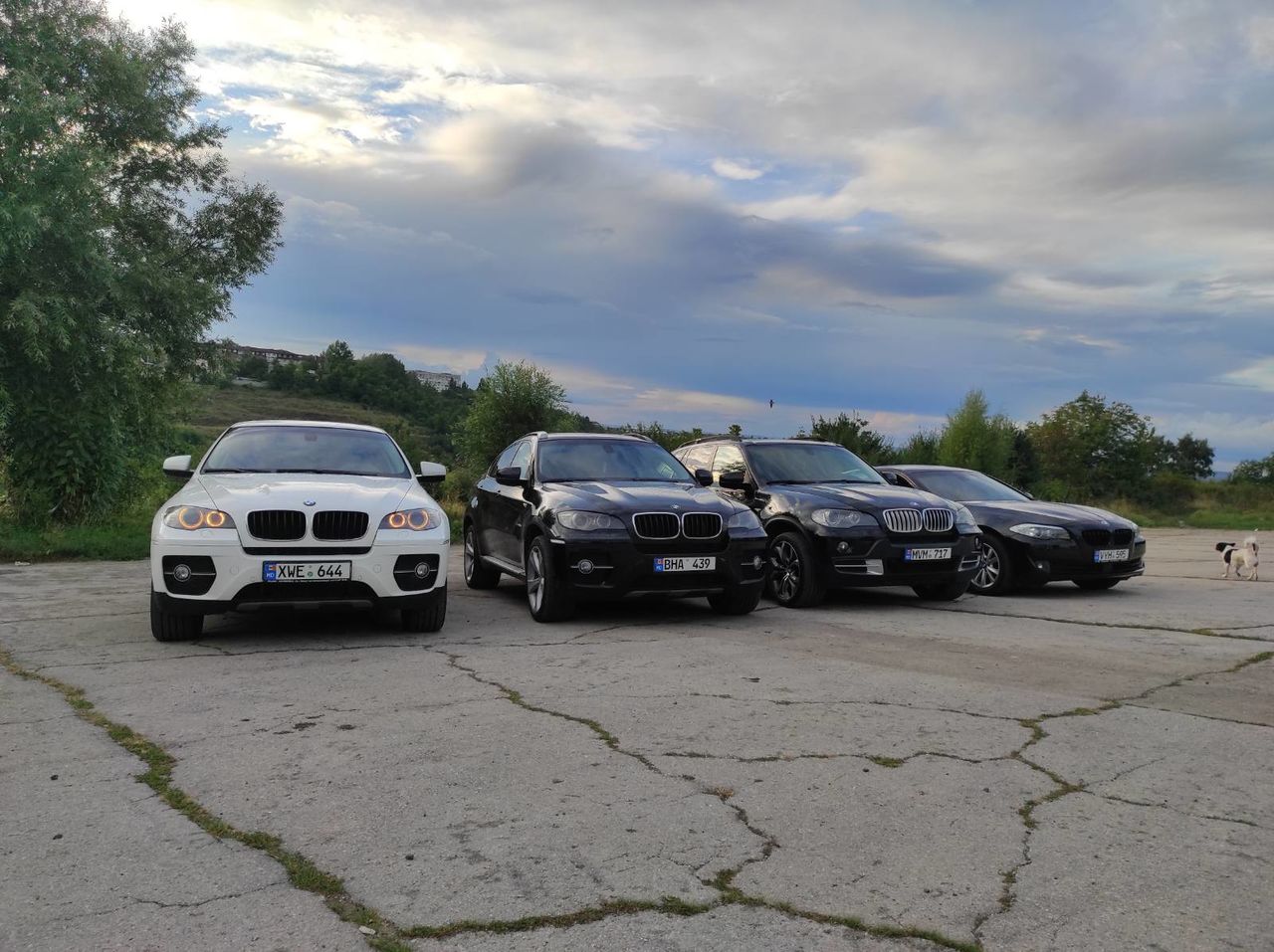 Chirie Auto 24/24 Аренда авто! Дизель/Автомат/Расход топлива 6 л фото 5