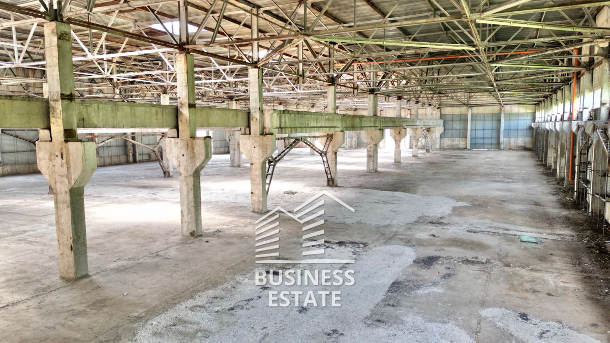 Vânzare! 2,8 Ha! 9200 m2! Producere! Strășeni, R1 Șos. Chisinău! foto 10