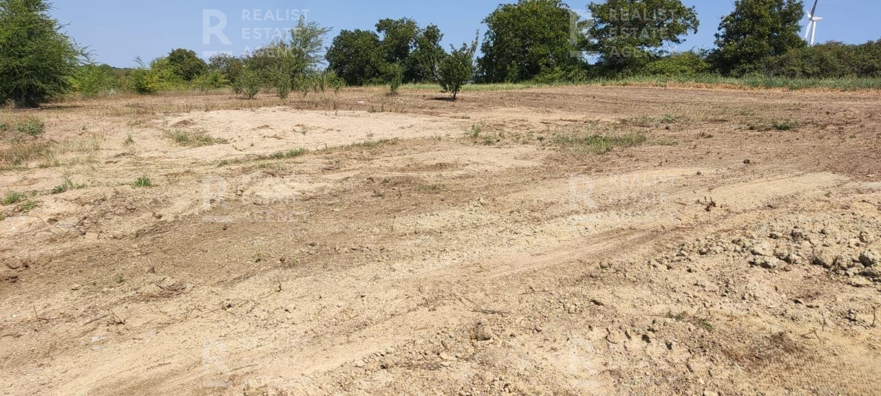 Vânzare, teren agricol, 21 ari, satul Suruceni, Ialoveni foto 1