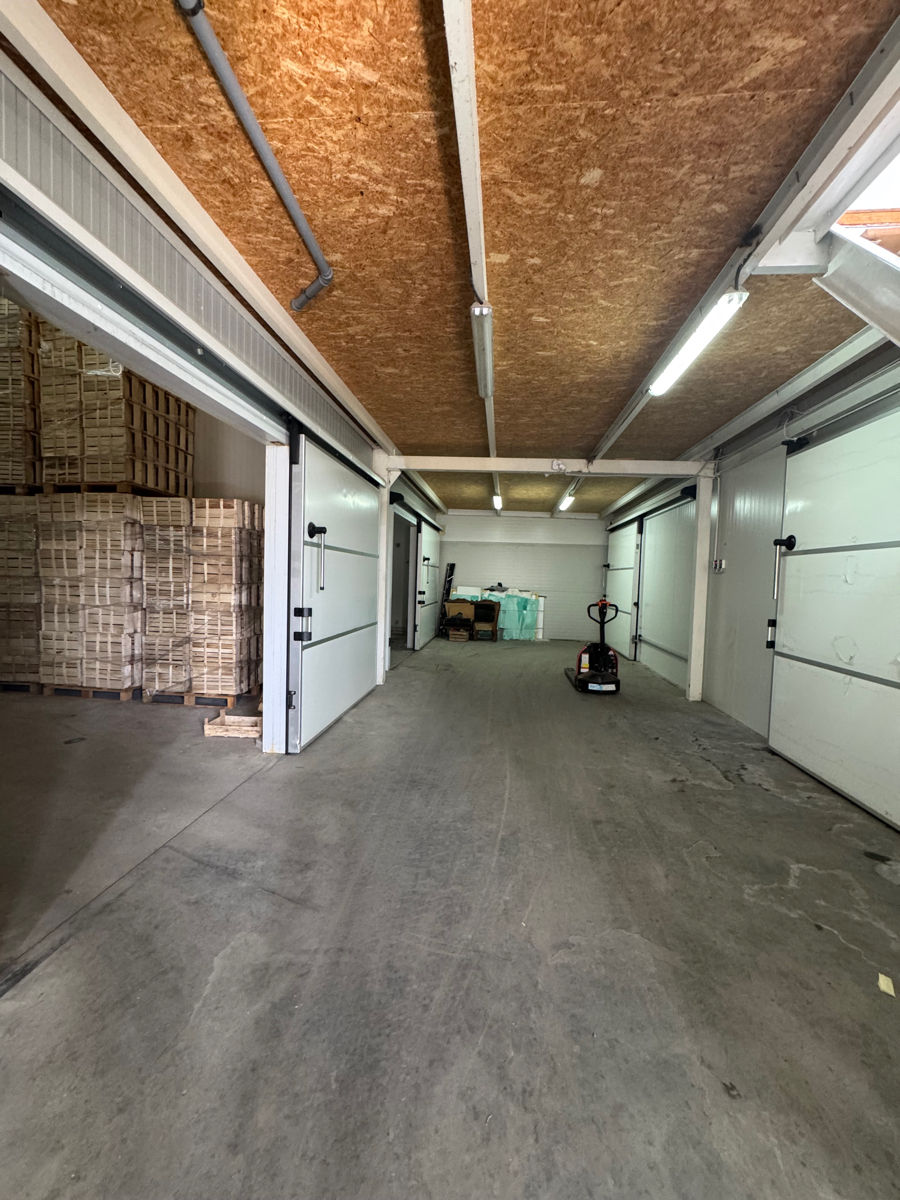 Depozit cu camere frigorifice de vânzare – Zona industrială foto 7