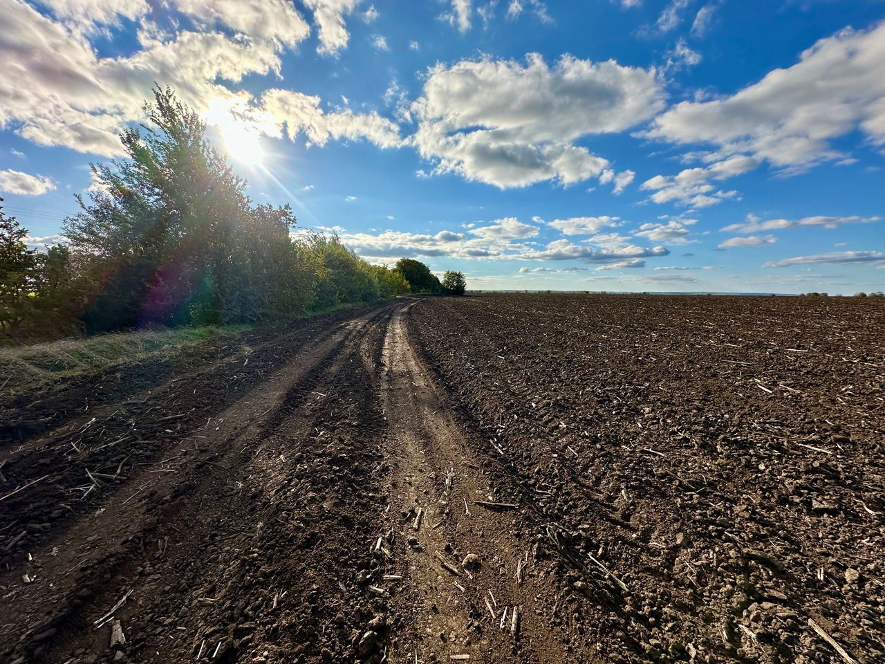 6 ha Traseul  M1 Chișinău-Dubăsari foto 5