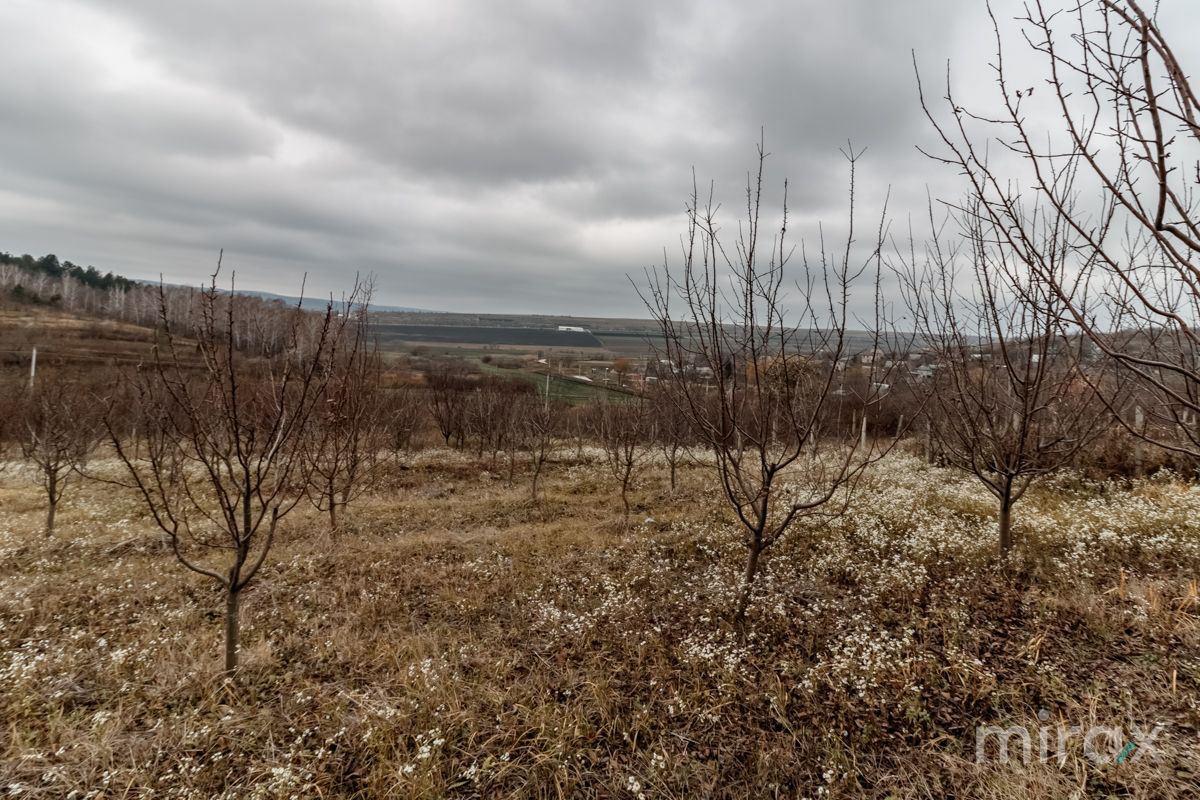 Se vinde Teren pentru construcții în s. Peresecina, zona de vile "La Chiperi", lângă padure! foto 3