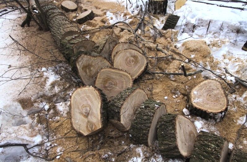 Мелкие демонтажные работа. А так же работы на участке возле дома.