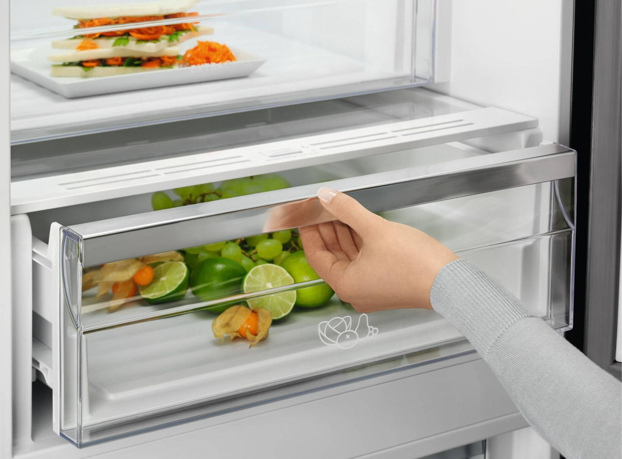 Frigider Electrolux No Frost (330L) foto 4