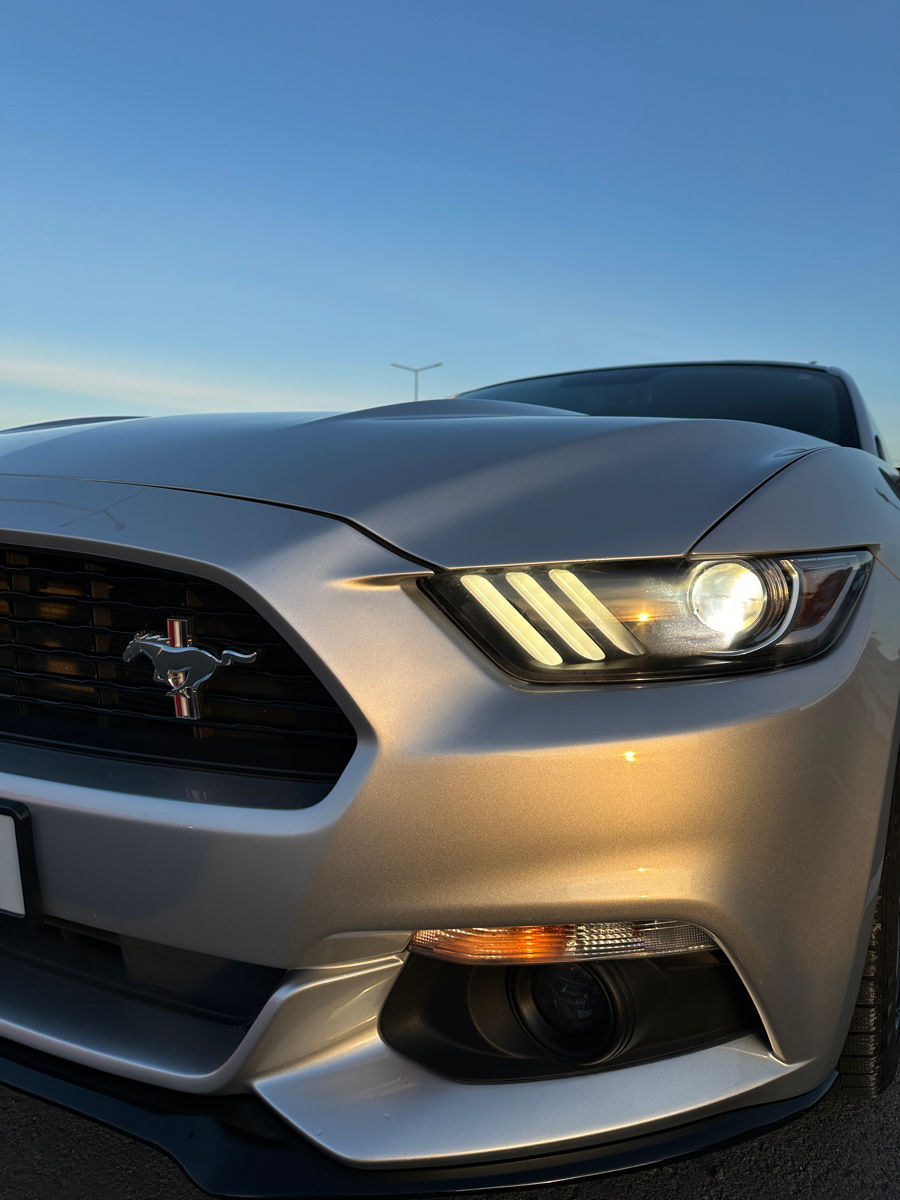 Ford Mustang foto 7