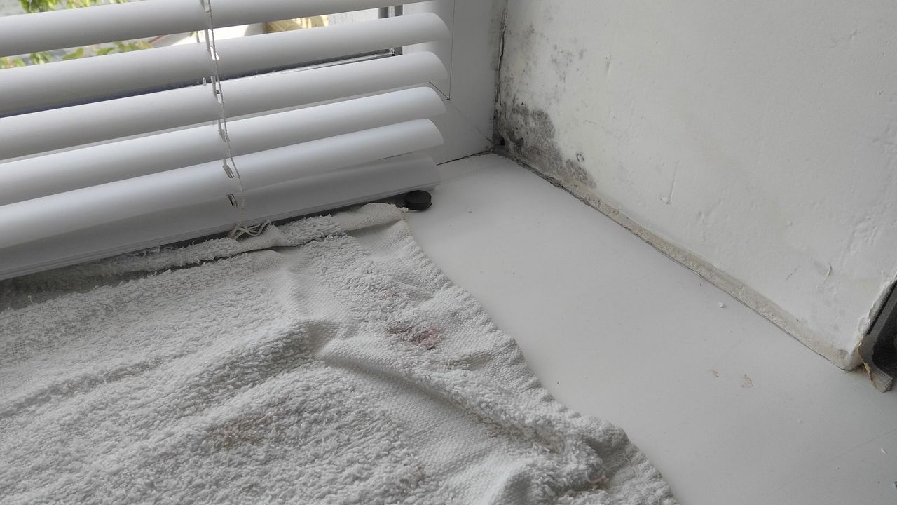 Umiditate, mucegai, aer viciat sau sănătate îmbunătățită, aer curat și fără mucegai !!!. foto 15