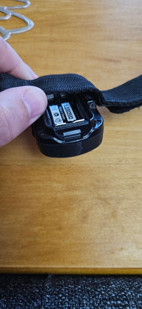 GPS navigator portabil garmin foretrex 301 foto 2