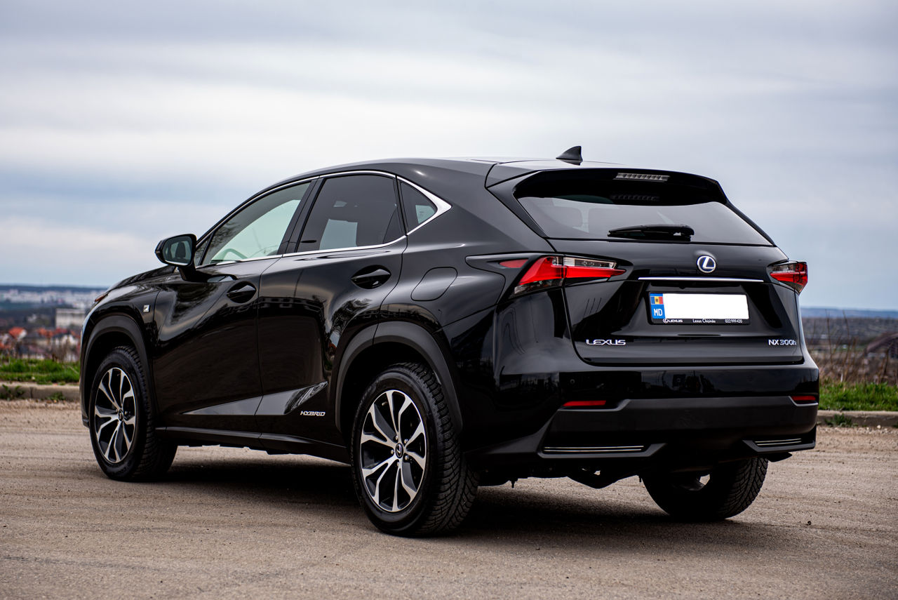 Lexus NX Series фото 3