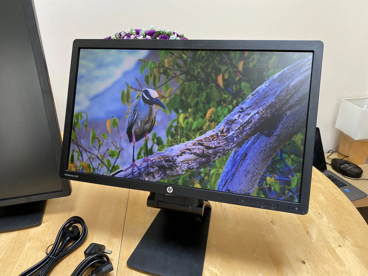 HP EliteDisplay E231 LED display фото 0