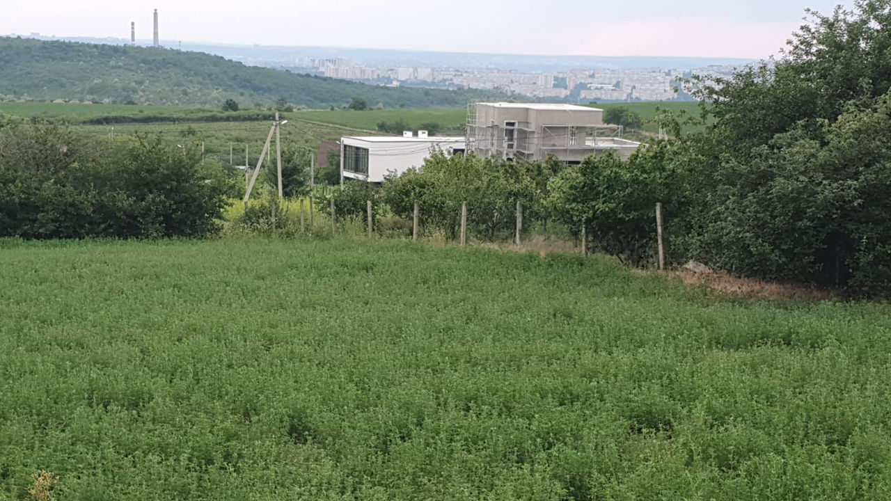 Colonita, Calea Basarabiei nr.27