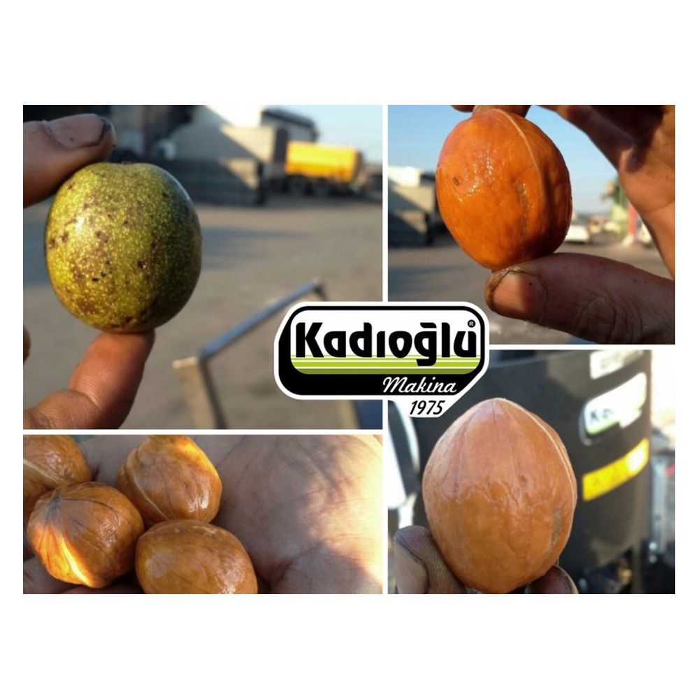 Curăţător de nuci kadioglu nutmec 180e  rapid si simplu!!! foto 3