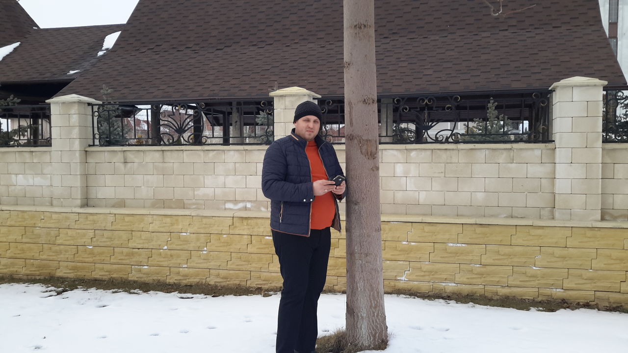 Paulownia-seminte,rasad,drajoni,butasi.. foto 5