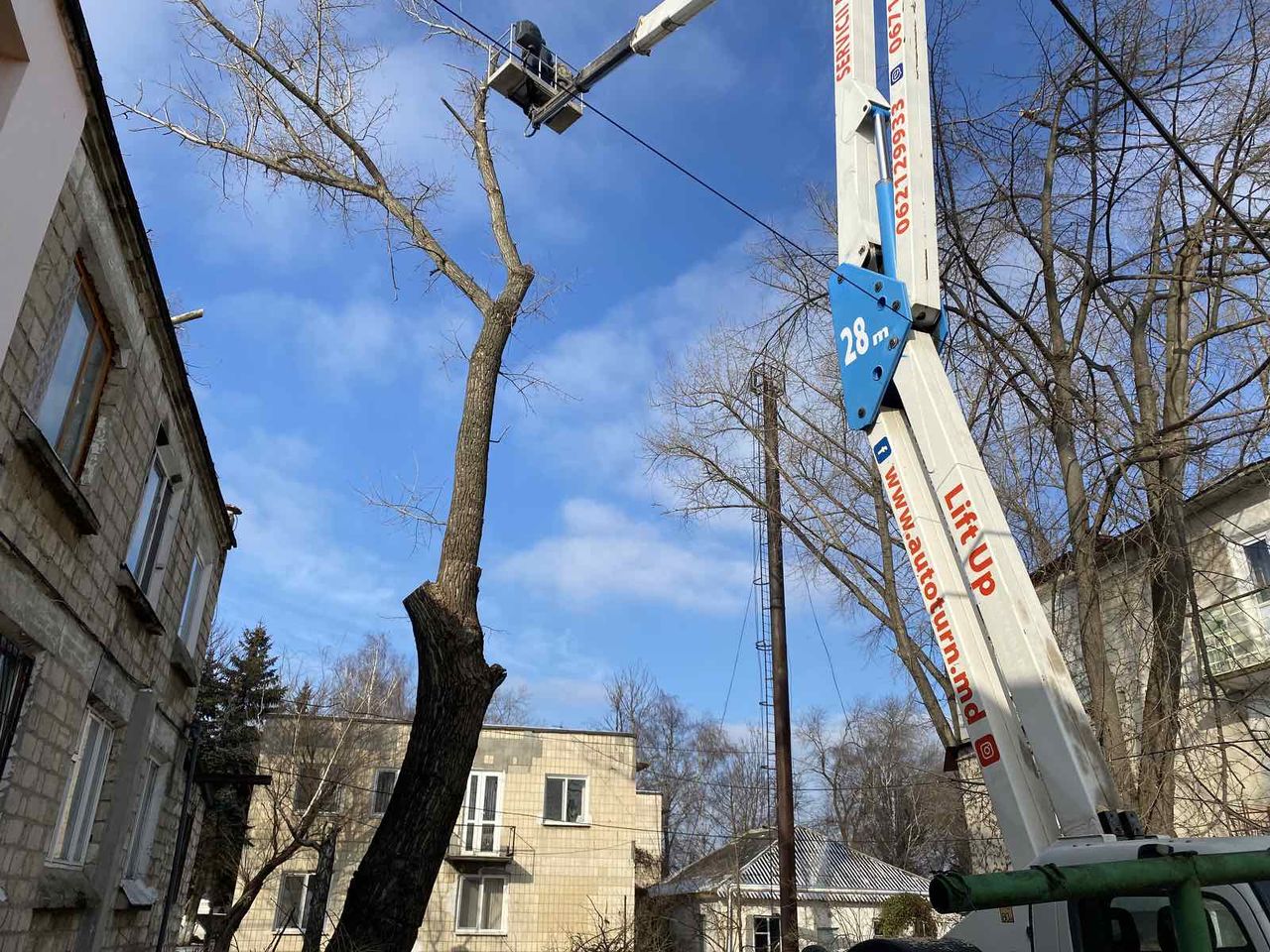 Taierea copacilor, crengilor, lucrari la inaltime cu Autoturnul! foto 14