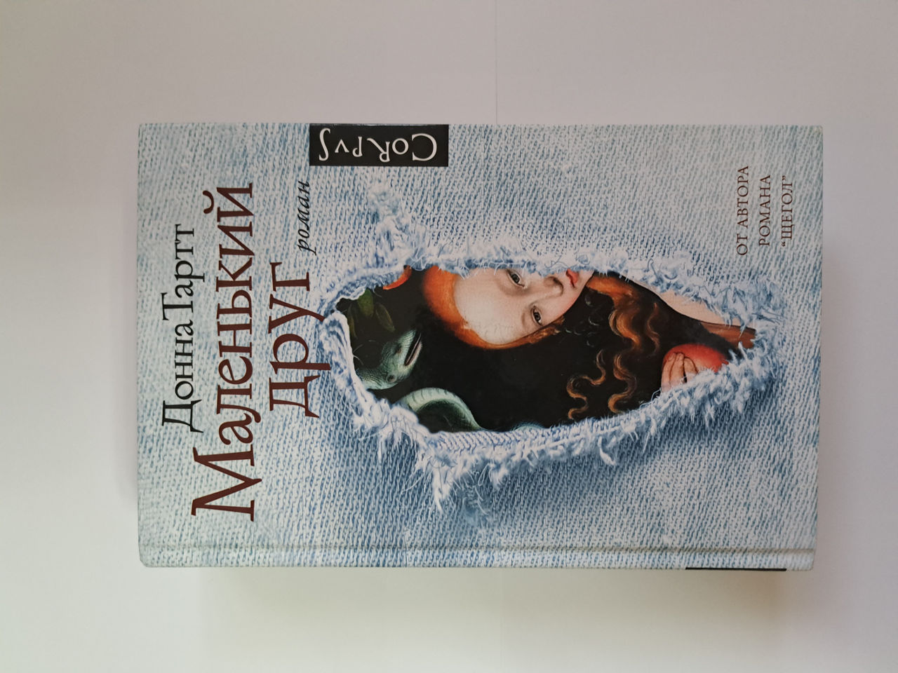Книга «Маленький друг» Донна Тартт