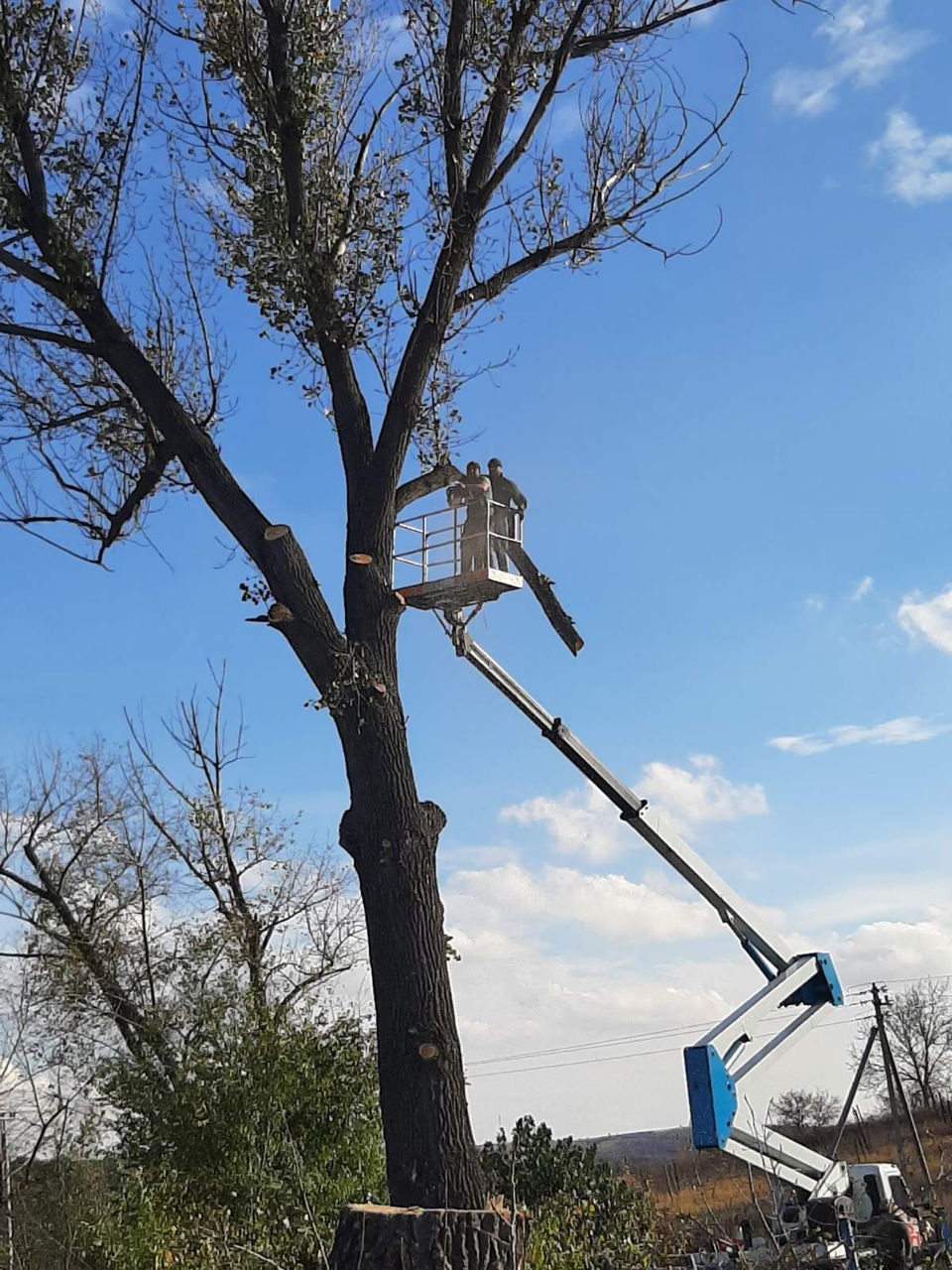 Tăierea copacilor! Toata Moldova foto 5