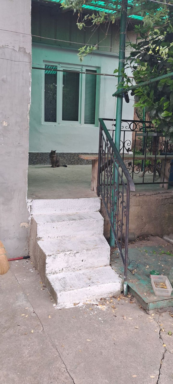 Se vânde  două case pe un singur teren, direct de la proprietari ! foto 9