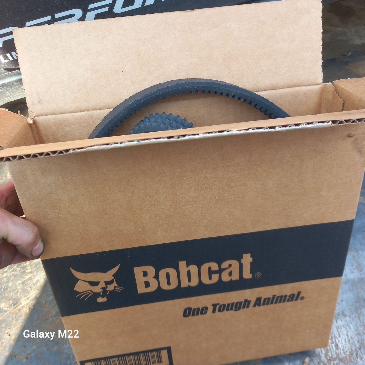 Curea bobcat foto 0