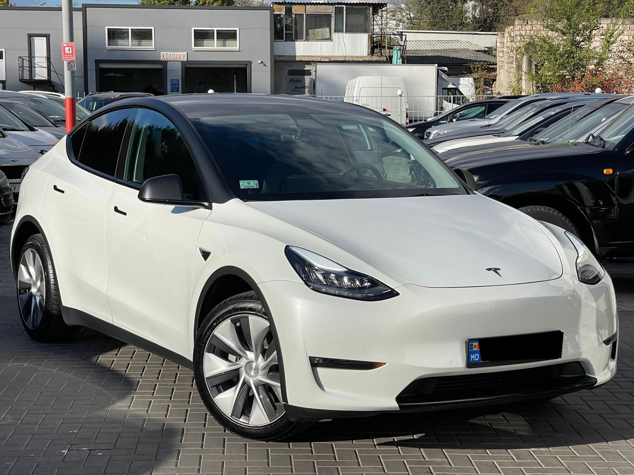 Tesla Model Y foto 0