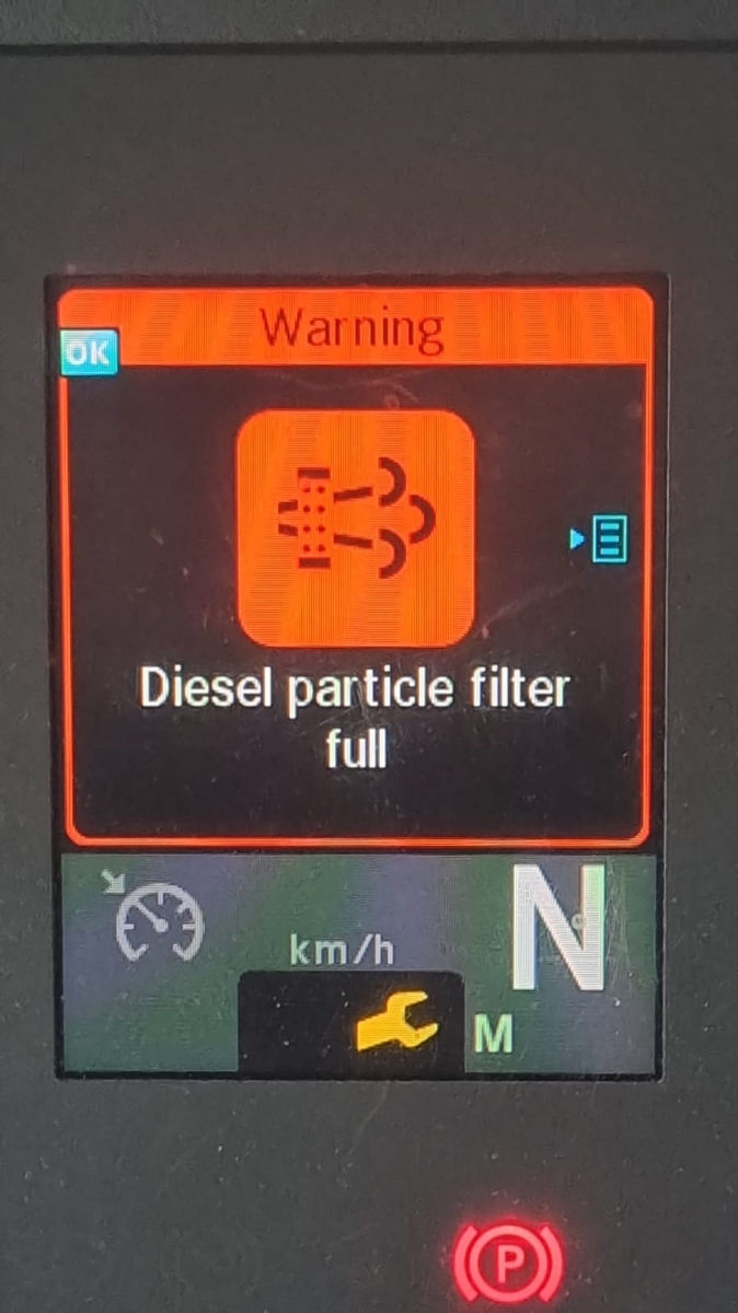 Filtru de particule DPF FAP anulare dazactivat chisinau сажевый фильтр foto 0