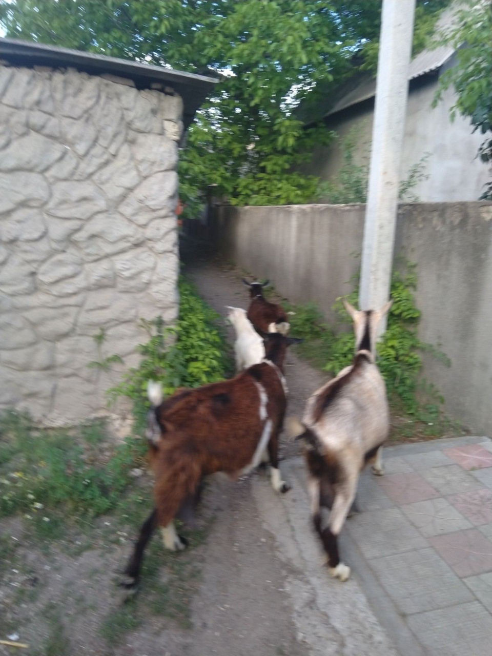 Продажа Фото 18