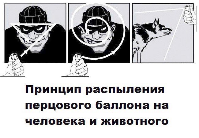 Самый эффективный газовый(перцовый) баллончик «Шпага», 75 мл. Лучшая ...