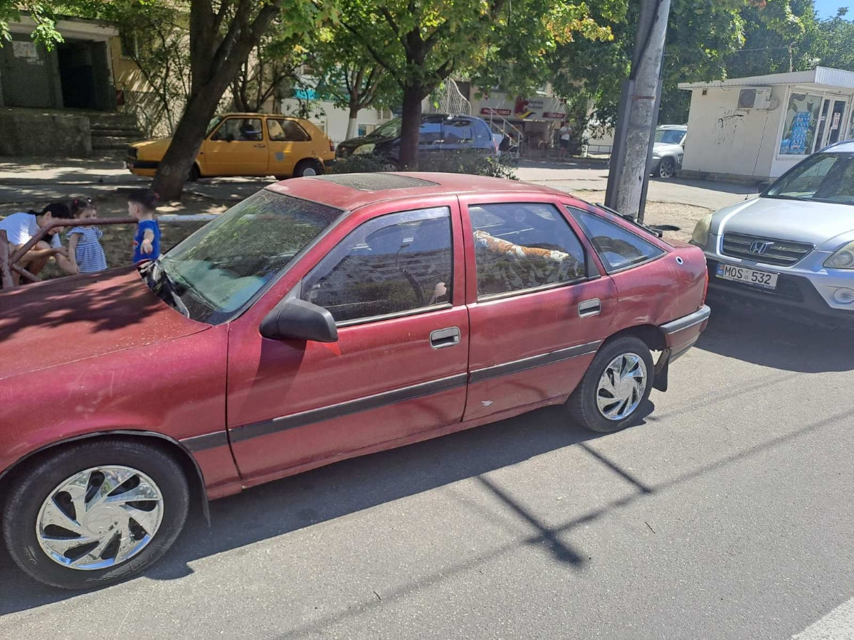 Razborca Opel, Astra F, Calibra, Kadet  Vectra A foto 4