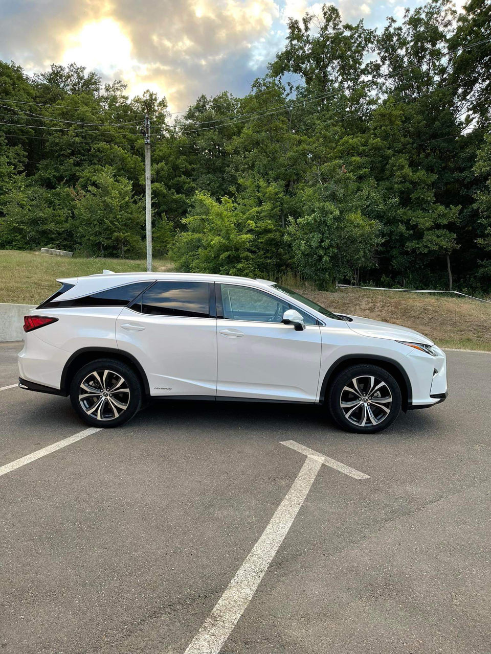 Lexus RX Series фото 1