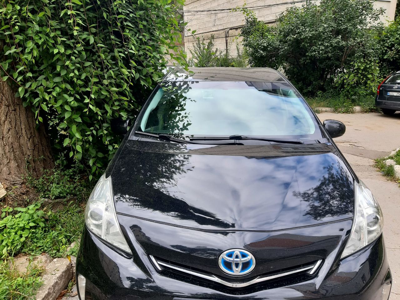 Toyota Prius v foto 2