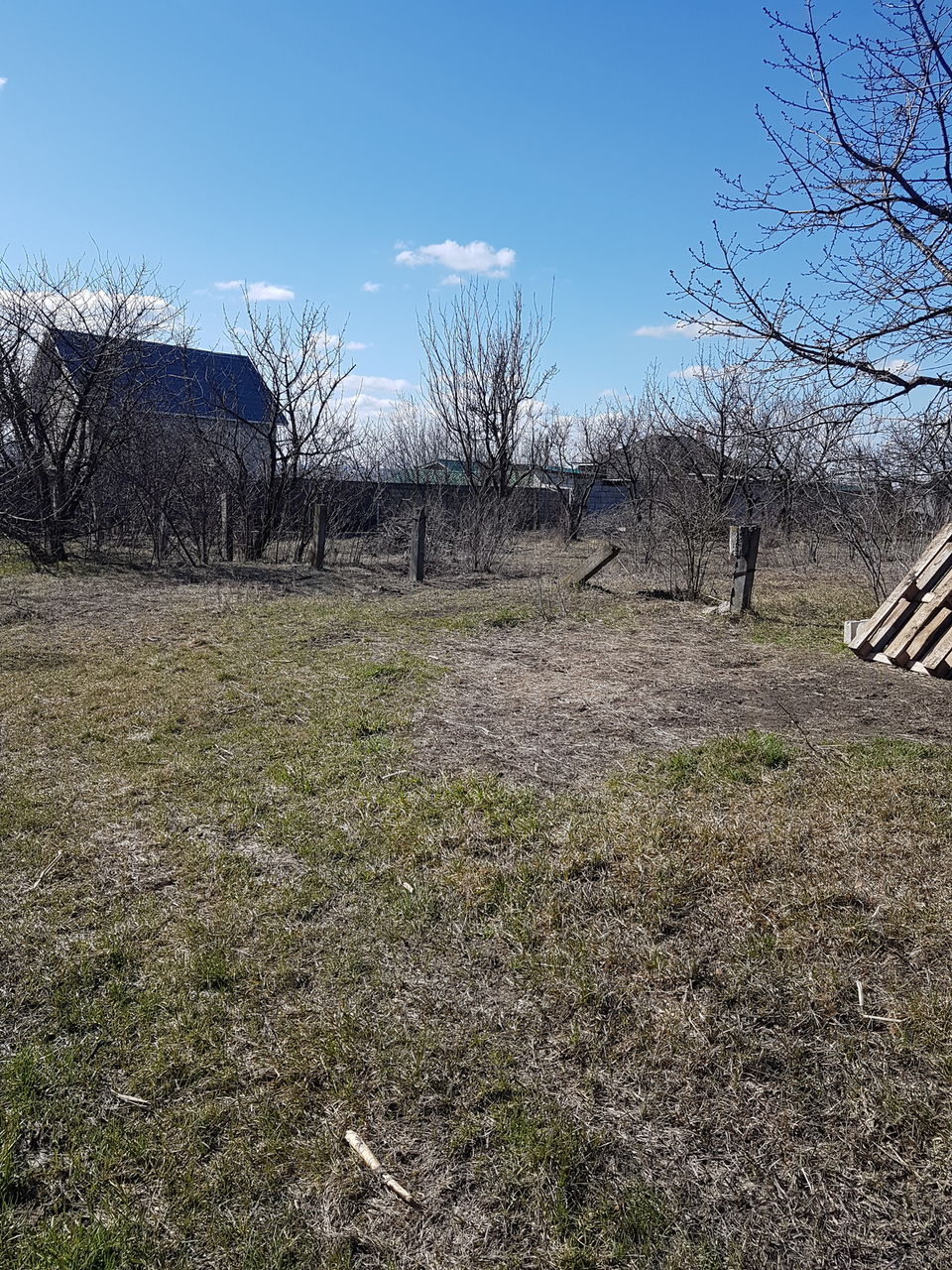 Curatenie pe teren Curatenie in gradina  Уборка огорода foto 5