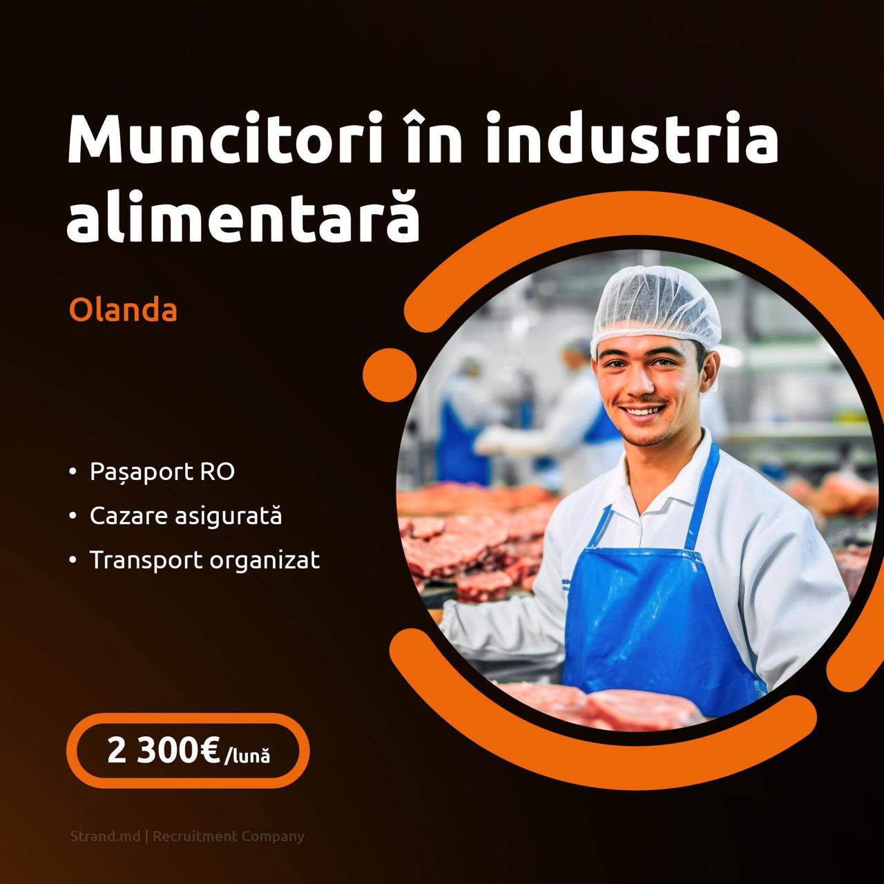 Angajăm muncitori la fabrici de mezeluri (Germania, Olanda, Irlanda) / 2500 euro foto 1