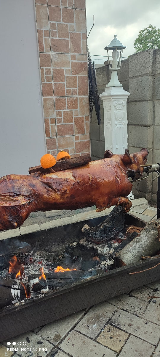 Выездной банкет, catering, zeama foto 7