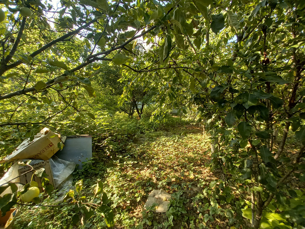 Дачный дом с террасой на берегу Днестра