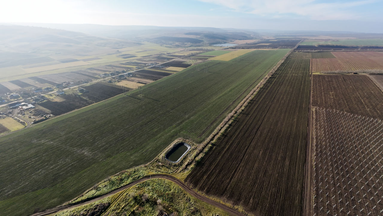 Vanzare Teren Agricol Ferma Depozit Arteziana 380v Bazin foto 7