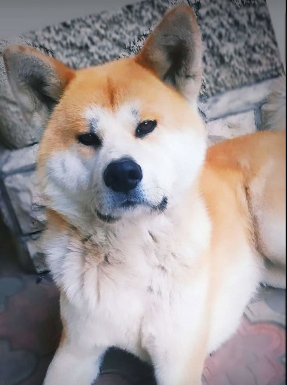 Вязка