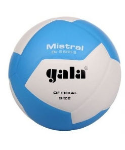 Mingi pentru volei si baschet, GALA foto 6