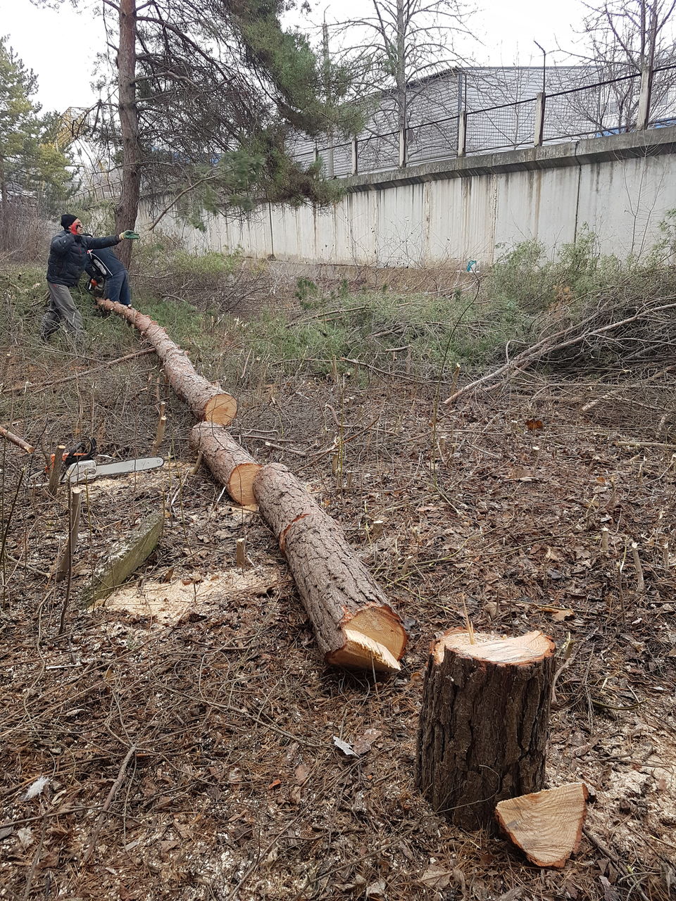 Facem curat in gradina linga casă curat la vila foto 6