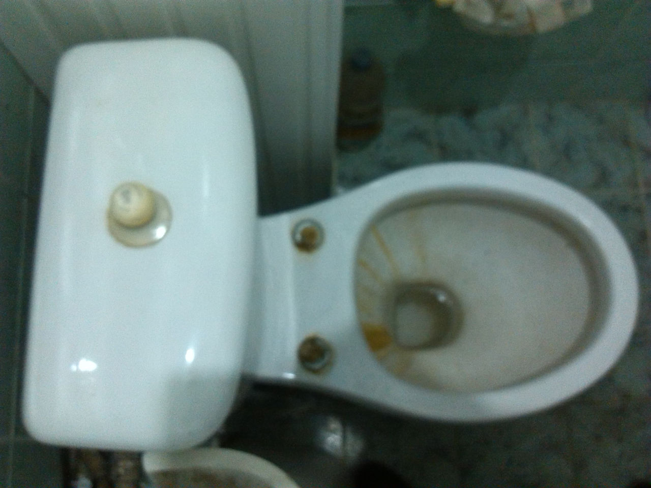 Viceu cu vas / напольный унитаз с бочком foto 3