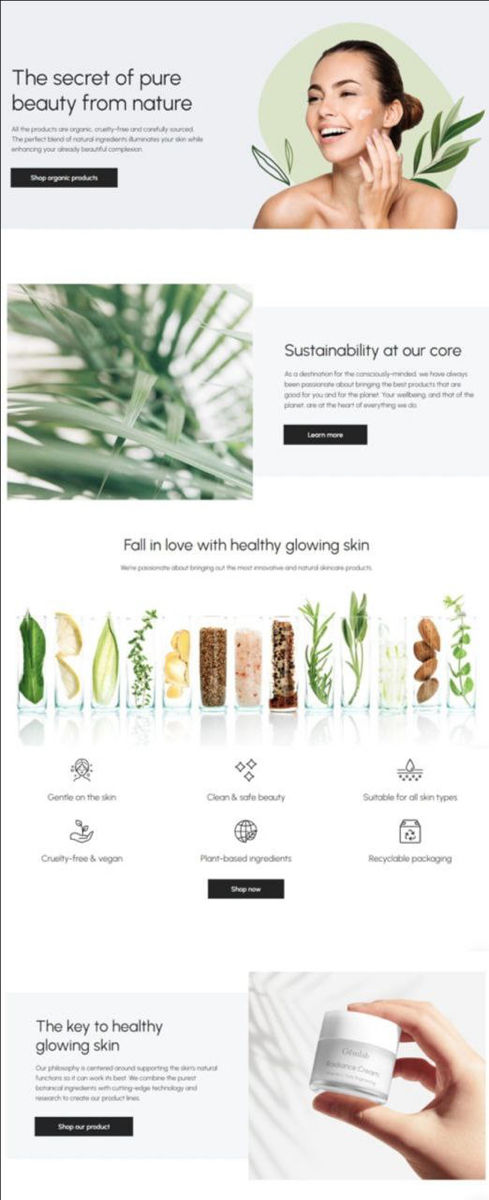 Creez magazin online pe platforma shopify (Landing page / Dropshipping / de toate tipurile) фото 5
