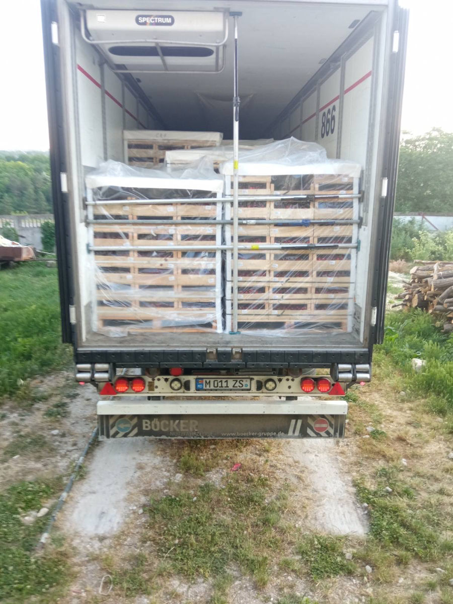 Depozit frigorific fructe + Servicii foto 8