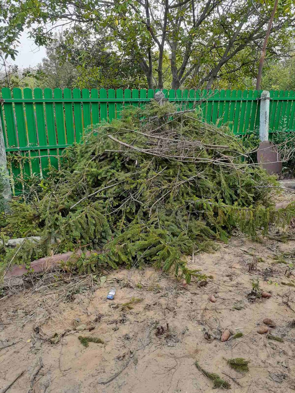 Уборка огород  уборка территории Curatare teren Defrisare Despadurire фото 1