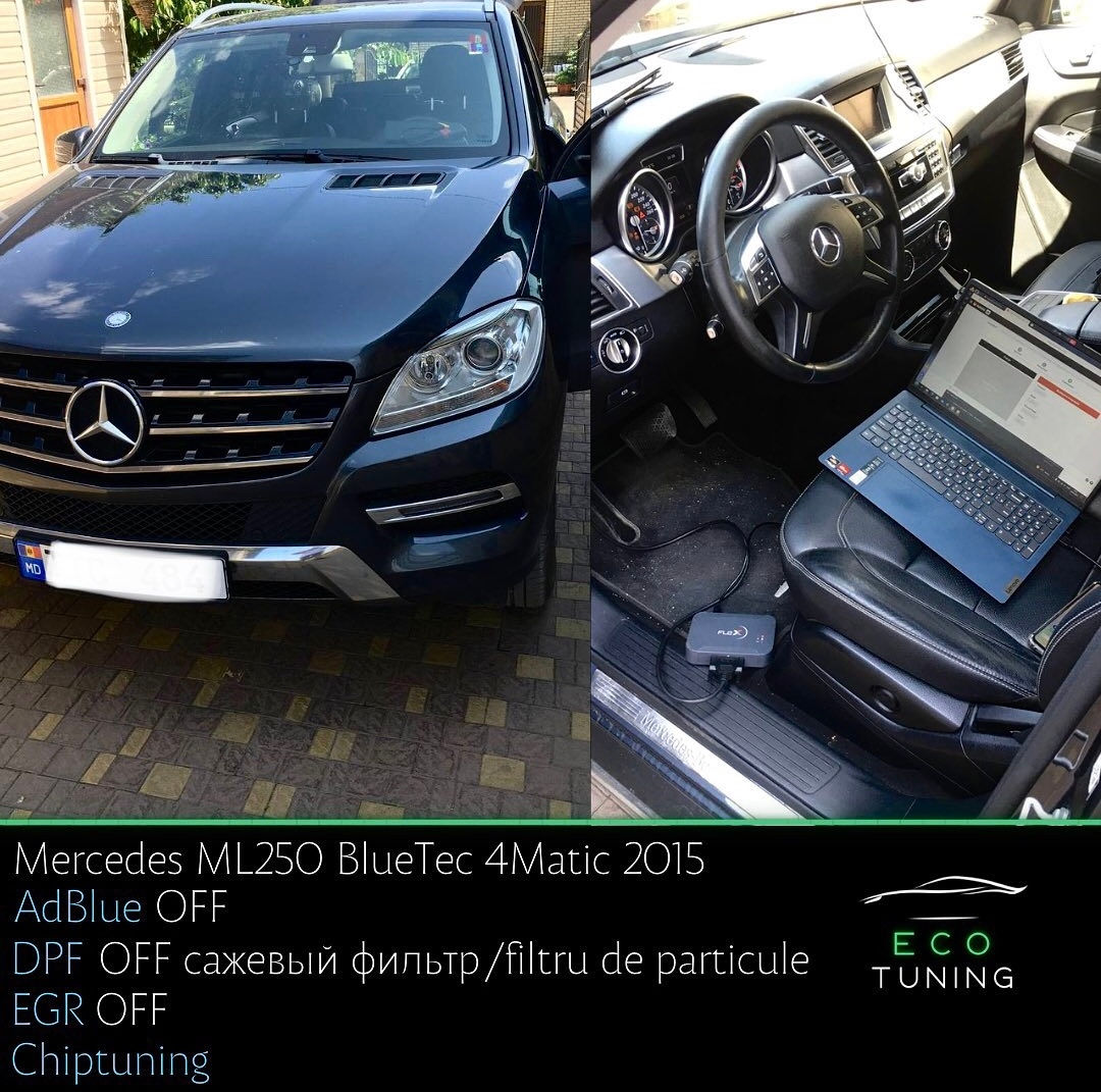 Filtru de particule DPF FAP anulare dazactivat chisinau сажевый фильтр foto 6