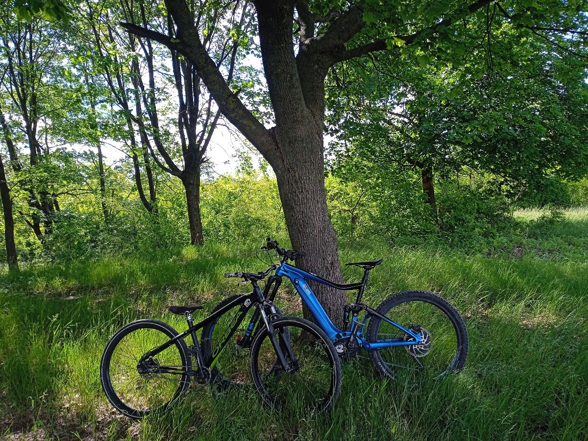 Orbea mx 26 dirt foto 2