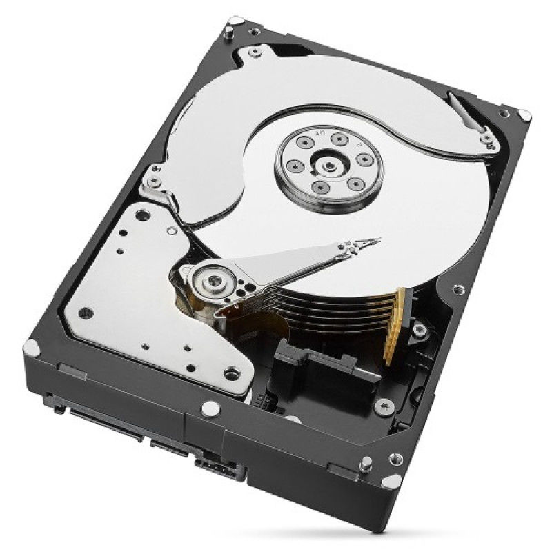 Seagate Surveillance SkyHawk 10 TB (ST10000VX0004)
