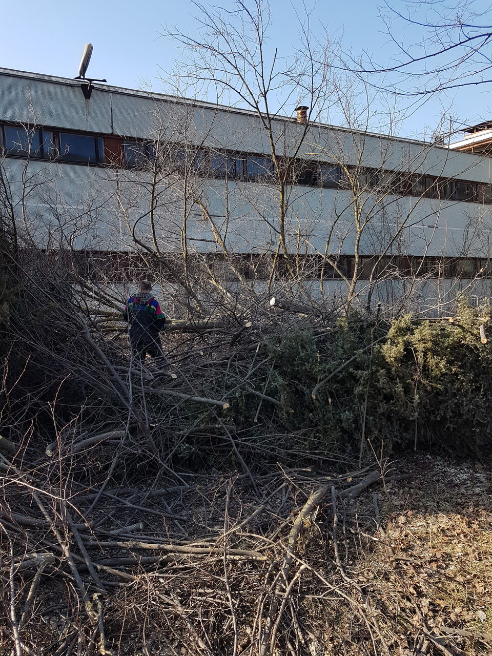 Curatenie pe teren Curatenie in gradina  Уборка огорода foto 8