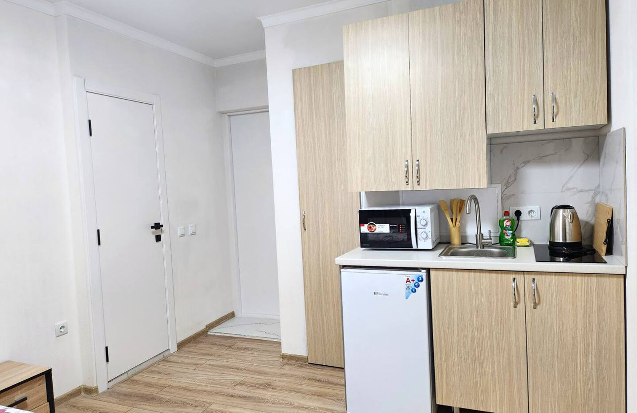 Apartament cu 1 cameră,  Centru,  Chișinău,  Chișinău mun. foto 2