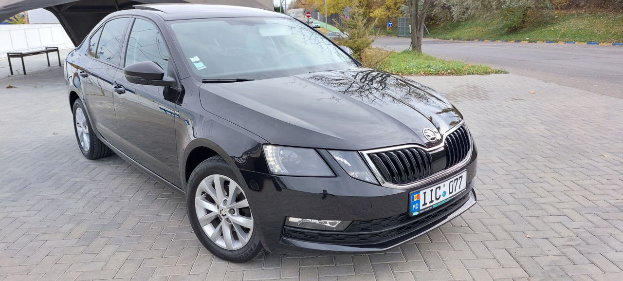 Rent a car / авто прокат фото 2