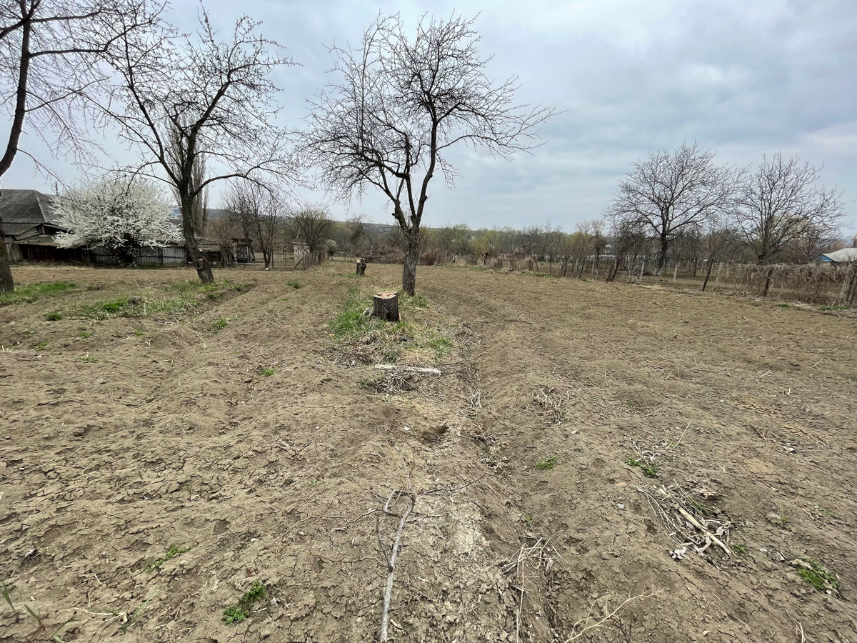 Vanzare 2 Case s.Ghetlova rl.Orhei cu teren 30 ari linga Padure foto 10